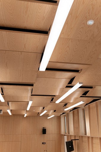 RENOVATION LOURDE AMPHITHEATRE ROBLOT A NANCY photo 833