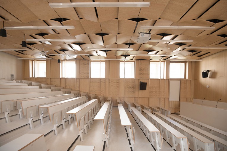 RENOVATION LOURDE AMPHITHEATRE ROBLOT A NANCY photo 841